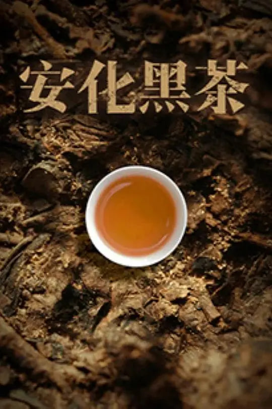 满江红